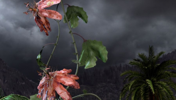 Mat Collishaw Mat Collishaw