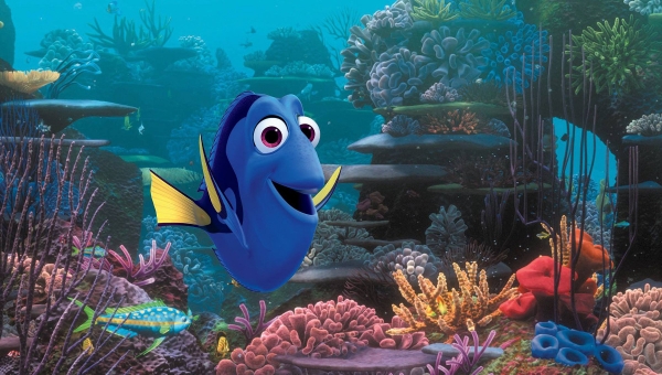 Finding Dory - Big Screen on the Beach