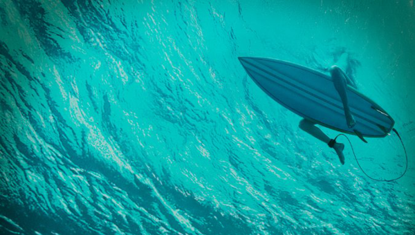 The Shallows
