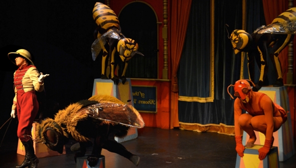 Insect Circus - CircusFest Insect Circus - CircusFest