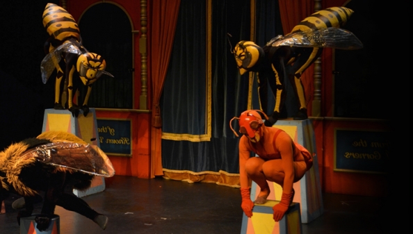 Insect Circus - CircusFest Insect Circus - CircusFest