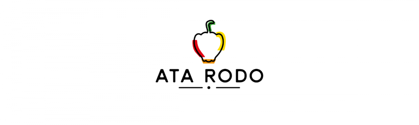 ata-rodo-accelerator-programme-roundhouse